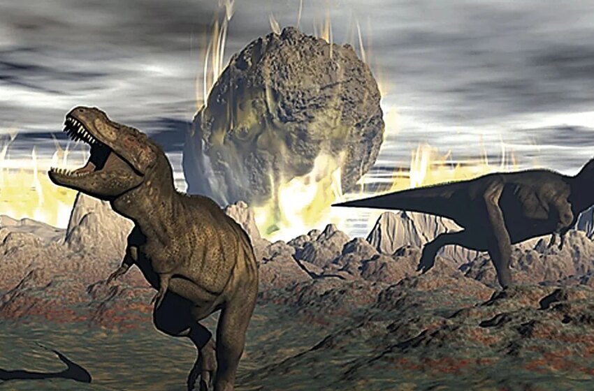  El asteroide que mató a los dinosaurios hizo que los hongos heredaran la Tierra – ABC