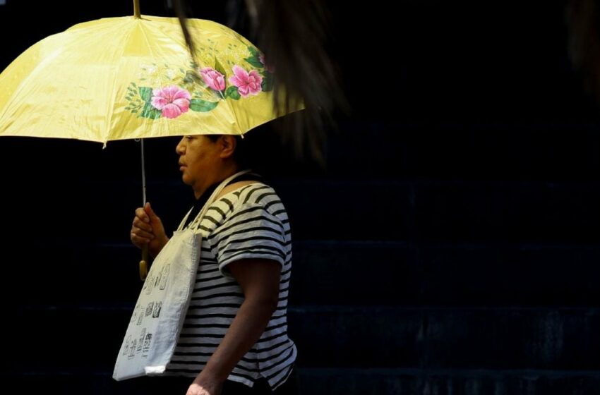  Ola de calor: se prevén temperaturas superiores a los 35 grados en casi todo el país