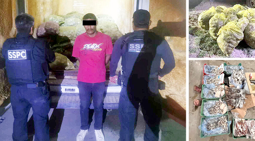  Contra la pesca ilegal en la Zona Norte – Semanario ZETA