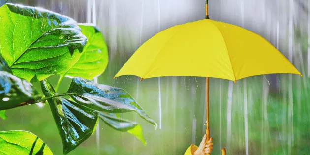  ¿Lloverá hoy en tu ciudad? Conoce el pronóstico exacto para este 25 de mayo