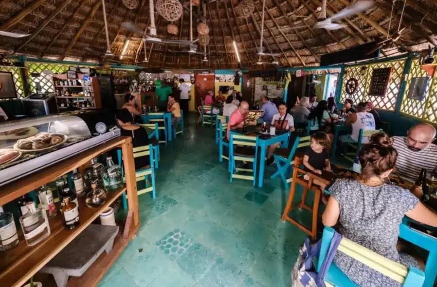  Sector pesquero impulsa la economía de Quintana Roo; más del 60% de restaurantes en …