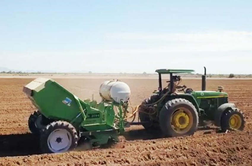  Reporta Bimbo 500 mil hectáreas con agricultura regenerativa – La Jornada