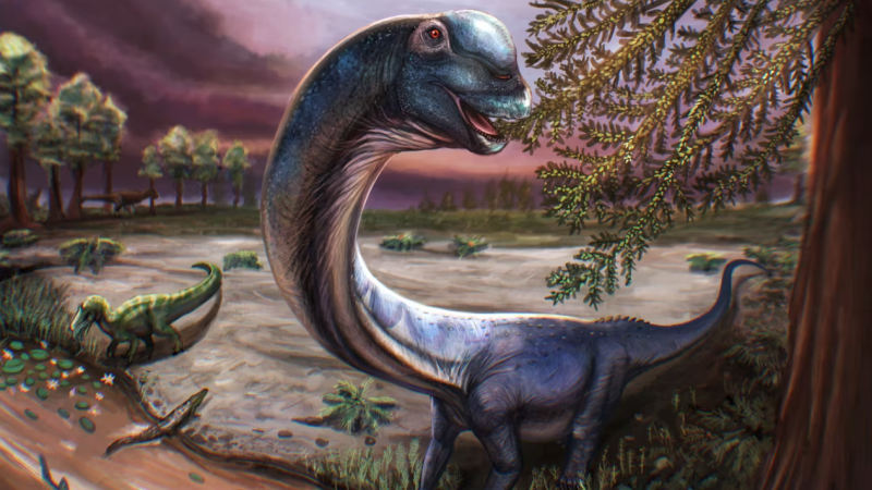  Identifican una nueva especie de dinosaurio gigante a partir de restos hallados en Tailandia