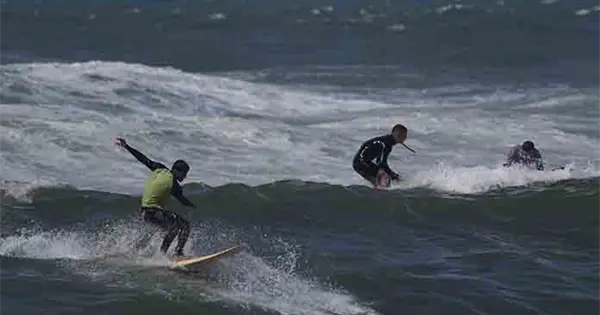  Surfistas palestinos hallan paz en las olas – Pulso SLP