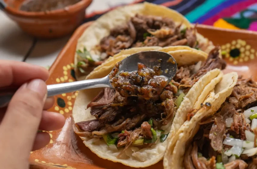  Todo lo que necesitas saber para disfrutar de la Feria de la Barbacoa 2026 – Animal Político