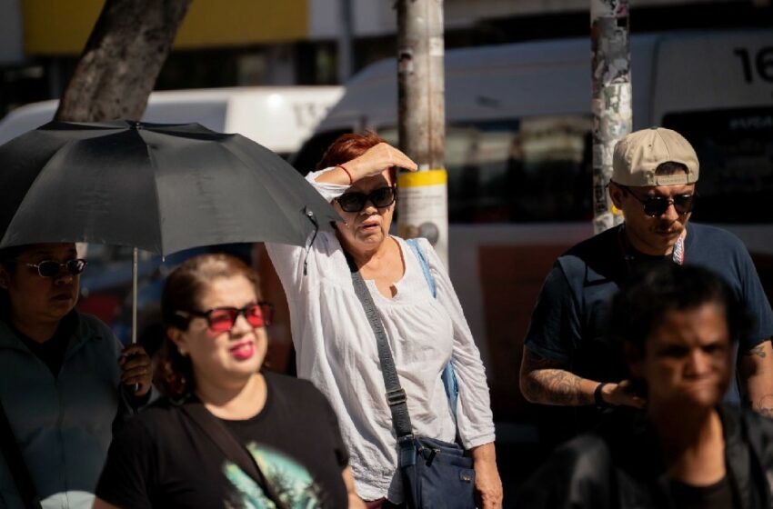  Onda de calor en México: Estados afectados por temperaturas altas – Milenio