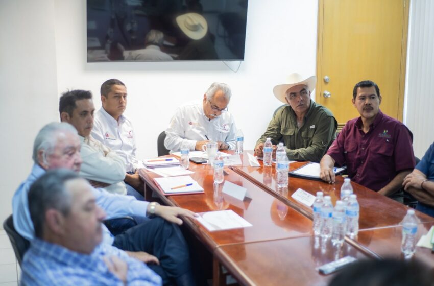  Alerta sanitara por brotes de enfermedad Cancro de los Cítricos en el norte de Tamaulipas