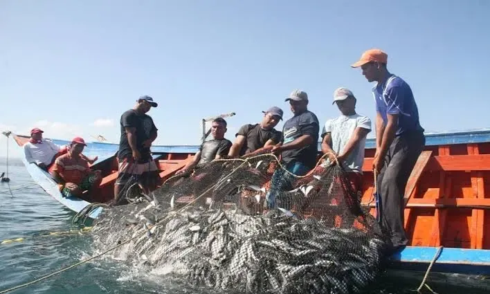  Es Guaymas principal centro pesquero de sardina – Entorno Informativo