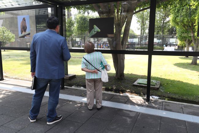  En el marco del Día Mundial del Medio Ambiente inauguran en San Lázaro la exposición …