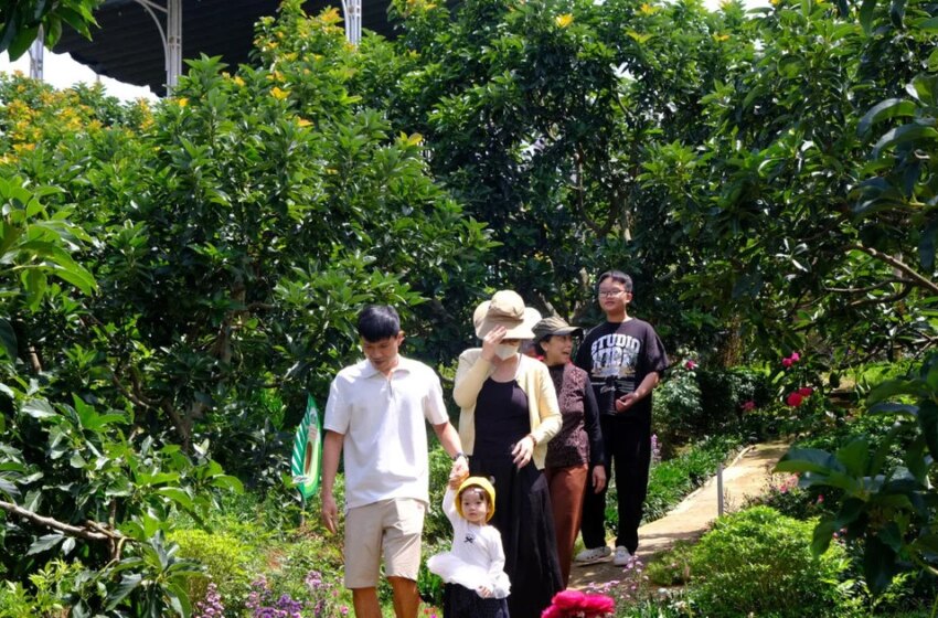  El turismo verde comienza con la protección del medio ambiente. – Vietnam.vn