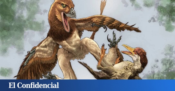  Un fósil de hace 120M de años encontrado en China revela que un primo del velociraptor …