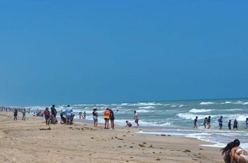  Tamaulipas se prepara para una gran ocupación hotelera este verano – El Economista