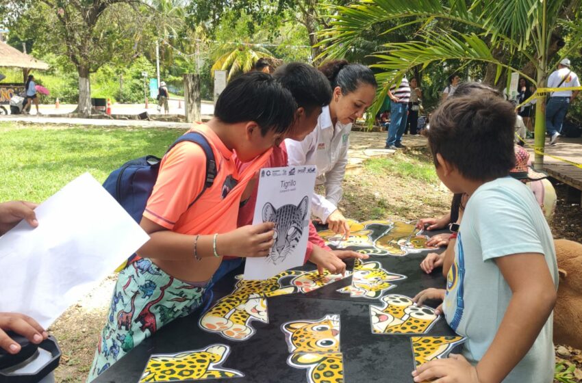  Celebra IBANQROO el Día Mundial del Medio Ambiente con acciones de educación y …