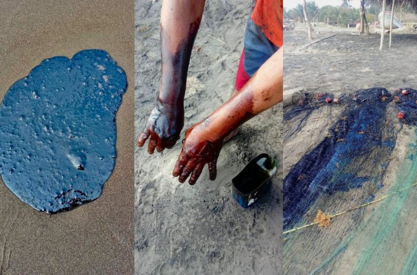  Tres meses sin apoyo tras derrame petrolero – PalabrasClaras.mx