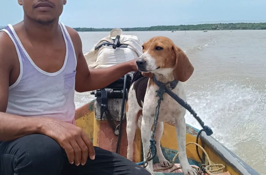  Randu y el 'loco' los creadores de contenido que se roban el corazón de Alvarado – Urbis