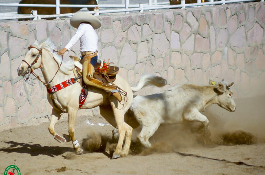  Hierro Santo dominó el Campeonato Estatal de Campeche 2026