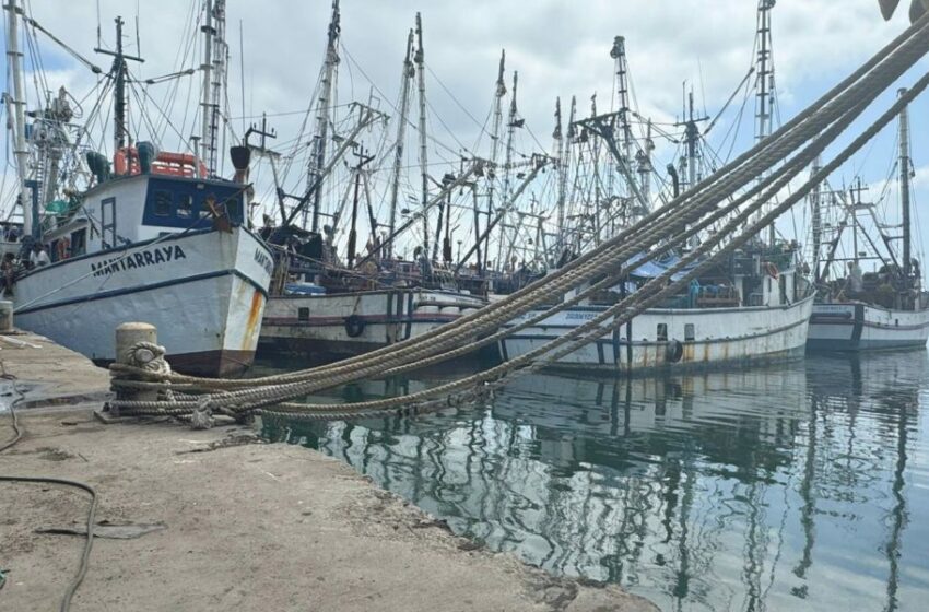  Buscan la reactivación de la flota pesquera de altura en México – Punto MX