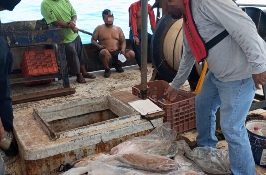  La pesca ilegal afecta no solo a las cooperativas – Diario de Yucatán