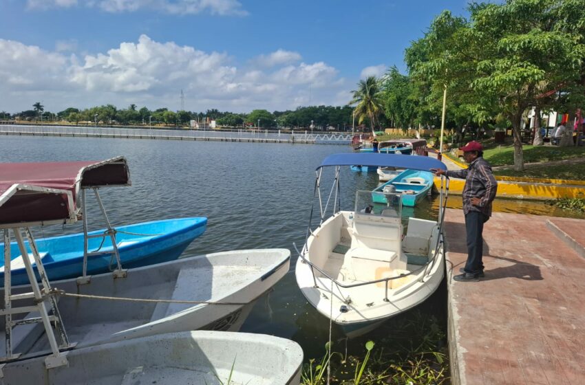  Repueblan lagunas de Altamira con catán para frenar al pez diablo – El Horizonte
