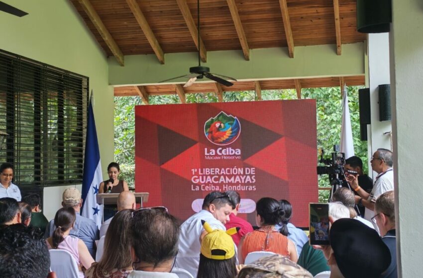  Efectiva coordinación en pro del medio ambiente lidera MP en operación nacional