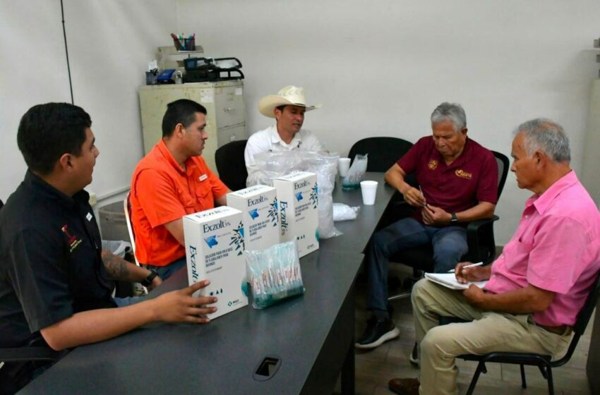  Tamaulipas protege a becerros recién nacidos del gusano barrenador – El Universal