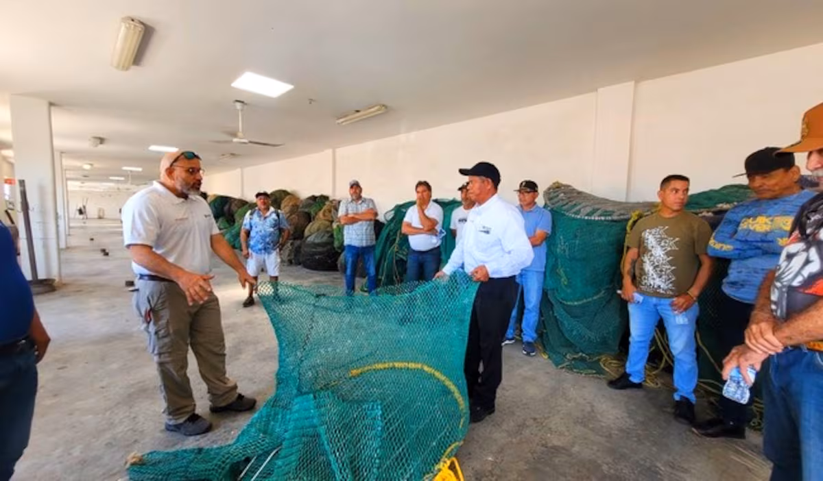  Conapesca inicia cursos para la protección de tortugas marinas; capacitarán a mil 500 pescadores