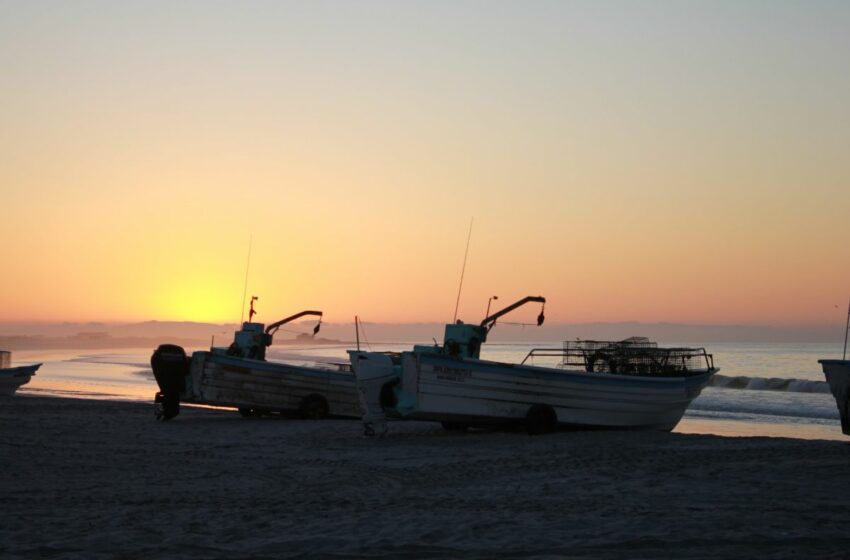  Adaptarse para sobrevivir: pescadores frente al cambio climático en Baja California Sur