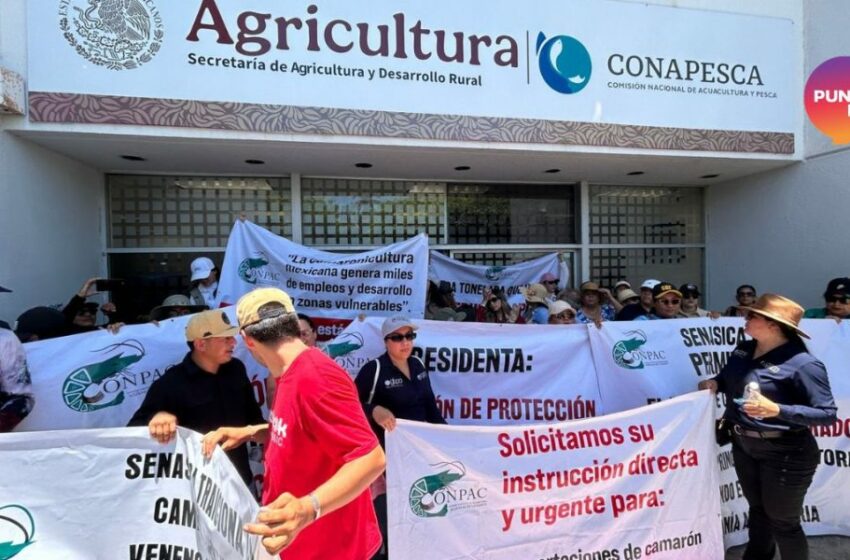  'Menos importación, más solución': reclamo del sector acuícola de México a Conapesca