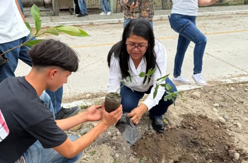  Conmemoran Día Mundial del Medio Ambiente con jornadas de reforestación