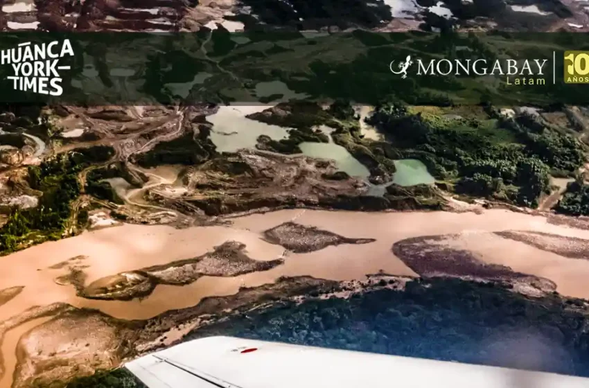  Sobrevuelos en la Amazonía muestran dragas de minería ilegal, laboratorios de droga y …