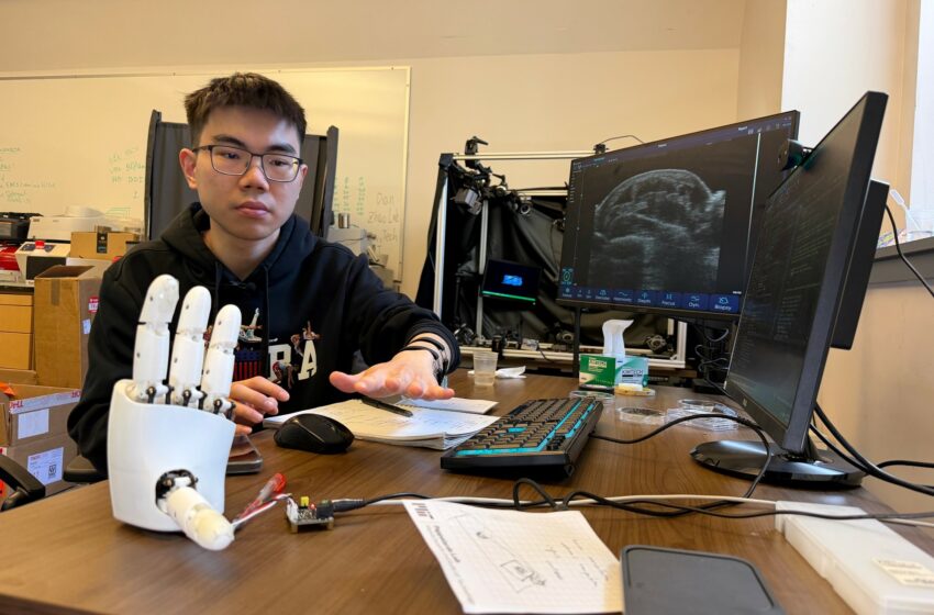  Investigadores del MIT usan inteligencia artificial para convertir gestos de las manos en entrenamiento para robots