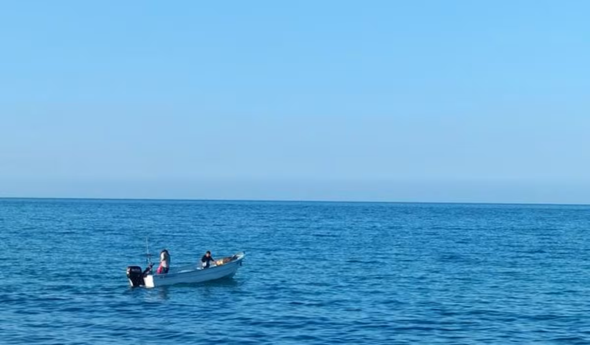  Baja California Sur suma tres refugios pesqueros para recuperar especies: Agricultura