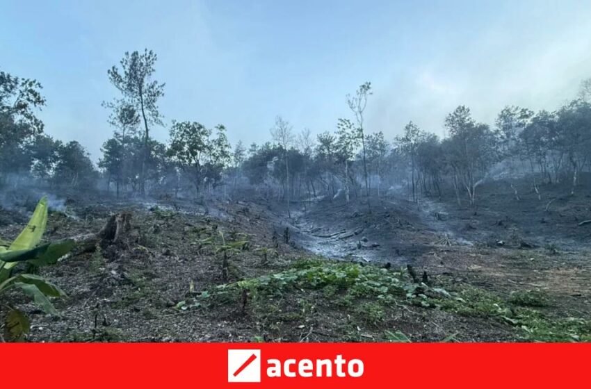  Medio Ambiente controla incendio forestal en Bonao y atiende nuevo foco en Sierra de Bahoruco