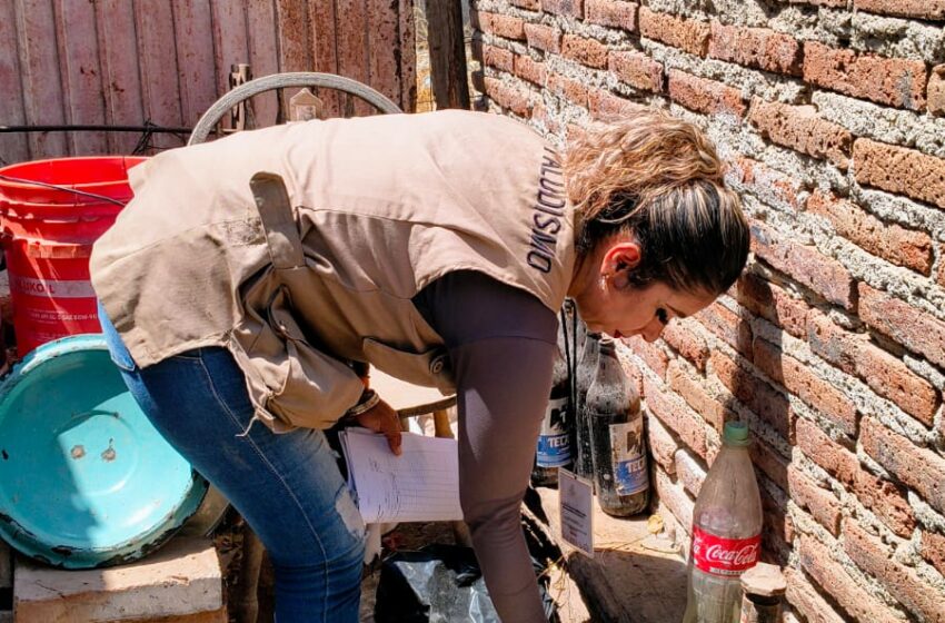  Llama Salud Sonora a reforzar medidas preventivas contra el dengue tras las lluvias