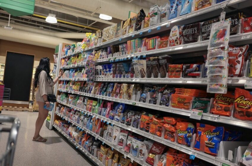  Hasta 120 dólares por hijo en verano: el beneficio federal de alimentos que muchas familias …