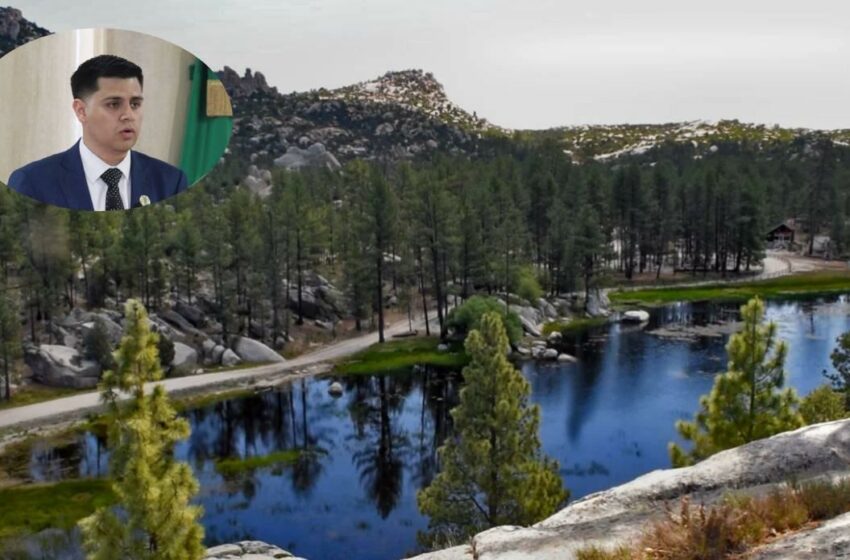  Legislador llama a atender el medio ambiente y el bienestar animal en Baja California