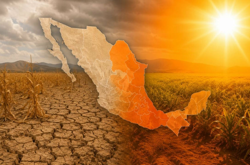  El Niño amenaza a México con sequías extremas: ¿qué estados serían los más afectados?