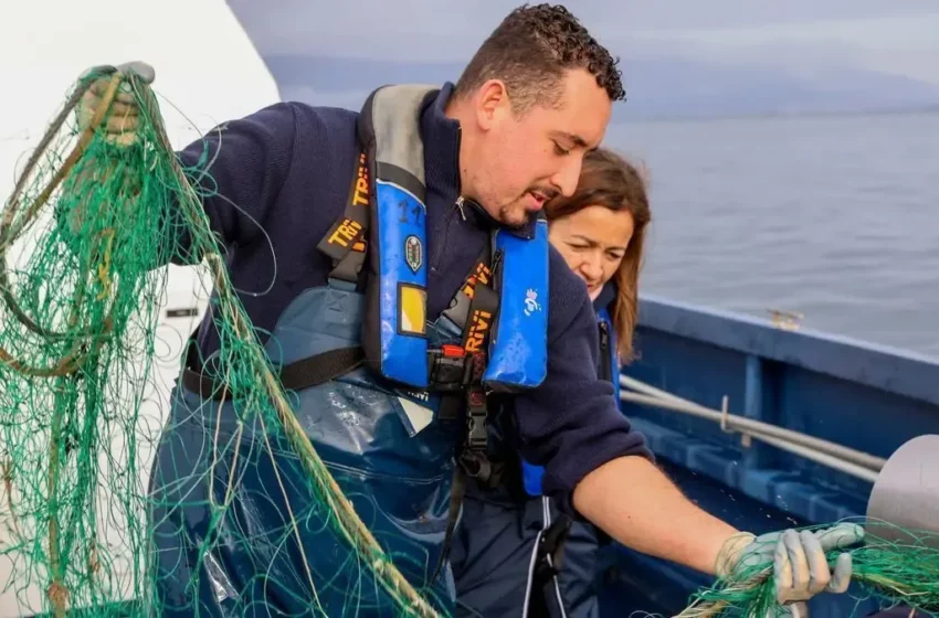  Furtivismo afecta la captura de pulpo y nécora en Galicia – El Congresista