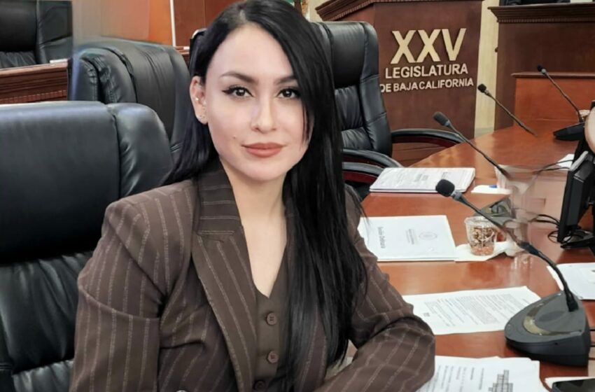  Reforman Ley para que padre de familia puedan decidir sobre proveedores de uniformes