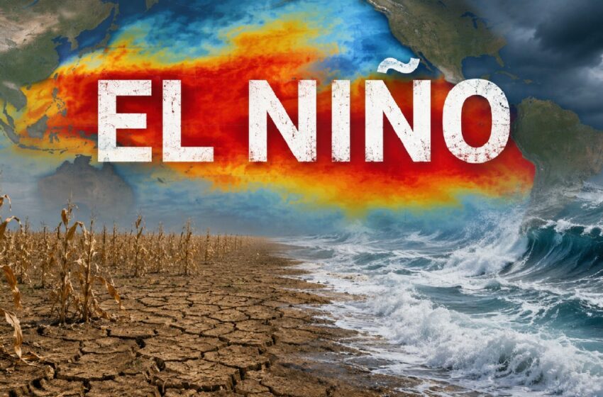  El Niño regresa: por qué genera preocupación mundial- Grupo Milenio