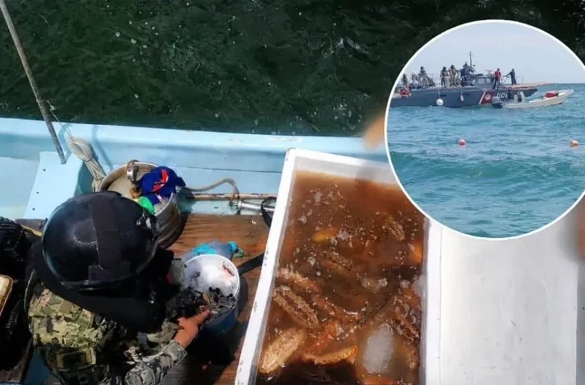  Persecución marítima frente a las costas de Yucatán – Posta Mx