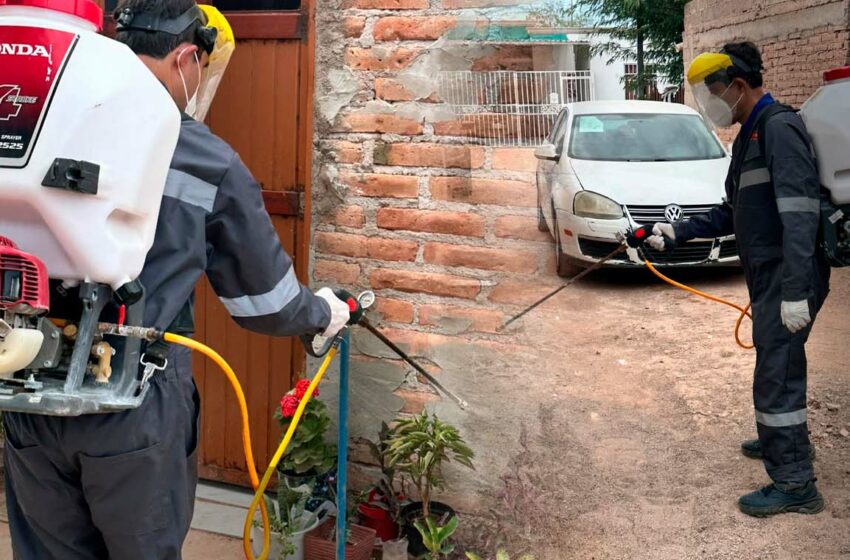  Refuerzan combate a la rickettsia en Sonora: fumigan más de 2 mil 600 viviendas ante …