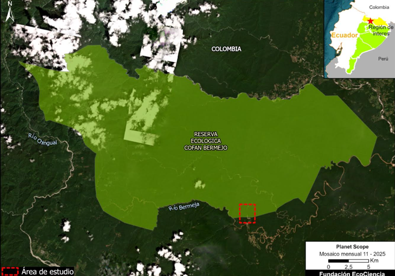  Minería ilegal crece en la Reserva Cofán Bermejo – Servindi