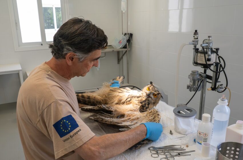  Pedro María Mojica: fauna silvestre, toxicología y vigilancia de la salud en el medio natural