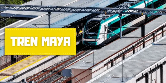 Diego Petersen cuestiona el rumbo del Tren Maya