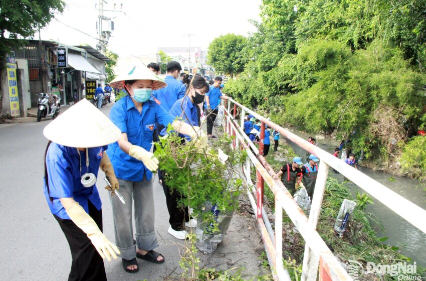  Los jóvenes toman medidas a favor de un medio ambiente más verde. – Vietnam.vn