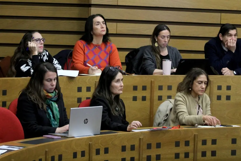Investigadores interdisciplinarios abordaron la crisis de natalidad en Chile 3 IMG 2220 scaled