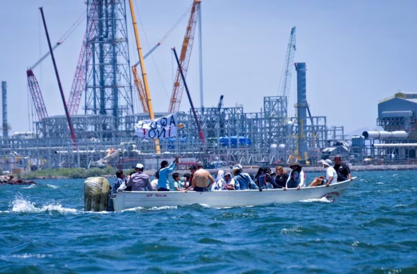  Greenpeace México exige frenar megaplanta de amoniaco en Sinaloa; alerta por daños al ambiente