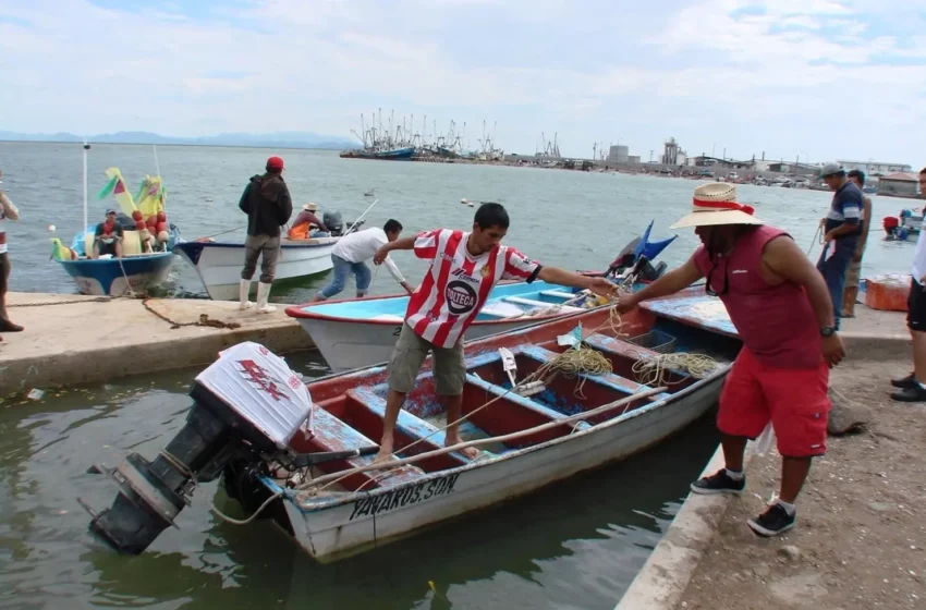  Logran buenas capturas de jaiba en el sur de Sonora – Diario del Yaqui