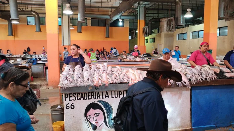  El mar no discrimina – La Jornada Maya